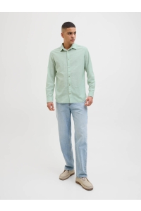 JJESUMMER SHIRT LS SN iceberg green