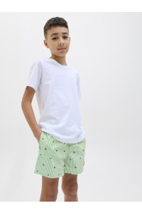 jack en jones boys JPSTMAUI JJSWIM MINI STRIPE AKM JNR summer green