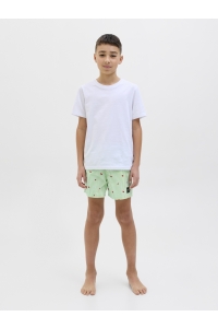 jack en jones boys JPSTMAUI JJSWIM MINI STRIPE AKM JNR summer green