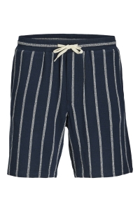 Jack and Jones JPSTJAIDEN COBA STRIPE JOG SHORT SR: sky captain/stripes