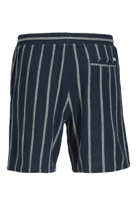 Jack and Jones JPSTJAIDEN COBA STRIPE JOG SHORT SR: sky captain/stripes