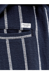Jack and Jones JPSTJAIDEN COBA STRIPE JOG SHORT SR: sky captain/stripes
