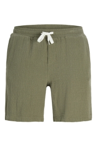 Jack and Jones JPSTJAIDEN COBA STRIPE JOG SHORT SR: dusky green