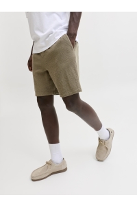 Jack and Jones JPSTJAIDEN COBA STRIPE JOG SHORT SR: dusky green