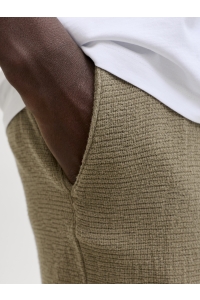 Jack and Jones JPSTJAIDEN COBA STRIPE JOG SHORT SR: dusky green