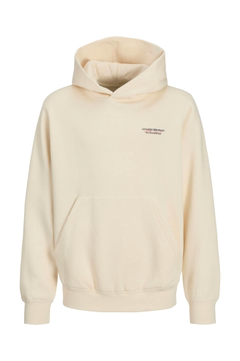 Jack and Jones boys JORISLINGTON BACK SWEAT HOOD SN JNR