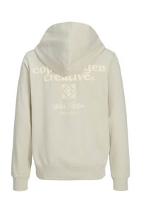 jack en jones boys JORPAROS TYPE SWEAT HOOD BACK JNR celadon tint