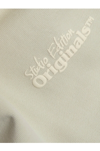 jack en jones boys JORPAROS TYPE SWEAT HOOD BACK JNR celadon tint