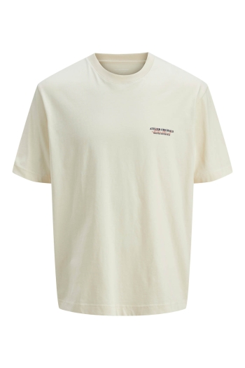 Jack and Jones boys JORISLINGTON TYPE TEE SS CREW N. SN:
