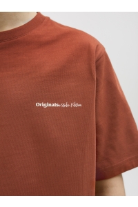 jack en jones boys JORPAROS EASTER SKETCH TEE SS CREW : arabian spice