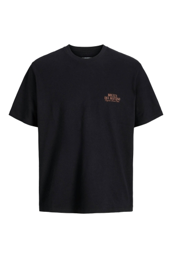 JACK&JONES ORIGINALS JORHYDRA PHOTO TEE SS CREW NECK