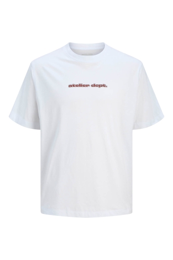 JACK&JONES ORIGINALS JJRODY TEE SS CREW NECK