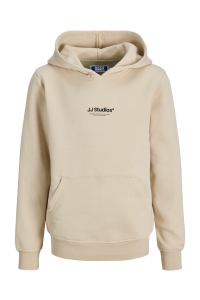 jack en jones boys JJESOHO SWEAT HOOD NOOS JNR moonbeam