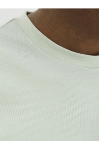 JACK%JONES PREMIUM JPRBLUHUG SS TEE aqua gray
