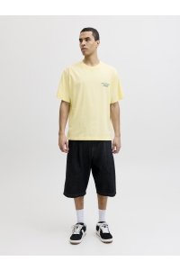 Jack and Jones JORNORREBRO TYPO TEE SS CREW NECK N: pastel yellow/ss 26