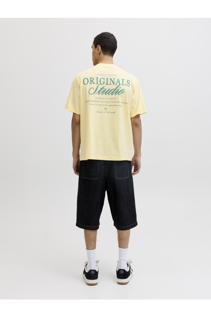 Jack and Jones JORNORREBRO TYPO TEE SS CREW NECK N: pastel yellow/ss 26