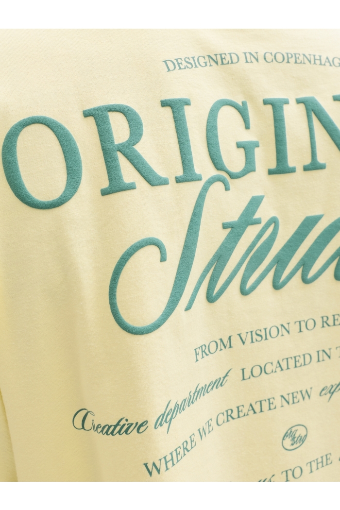 Jack and Jones JORNORREBRO TYPO TEE SS CREW NECK N: pastel yellow/ss 26