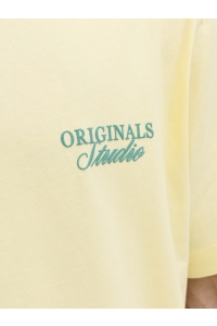 Jack and Jones JORNORREBRO TYPO TEE SS CREW NECK N: pastel yellow/ss 26