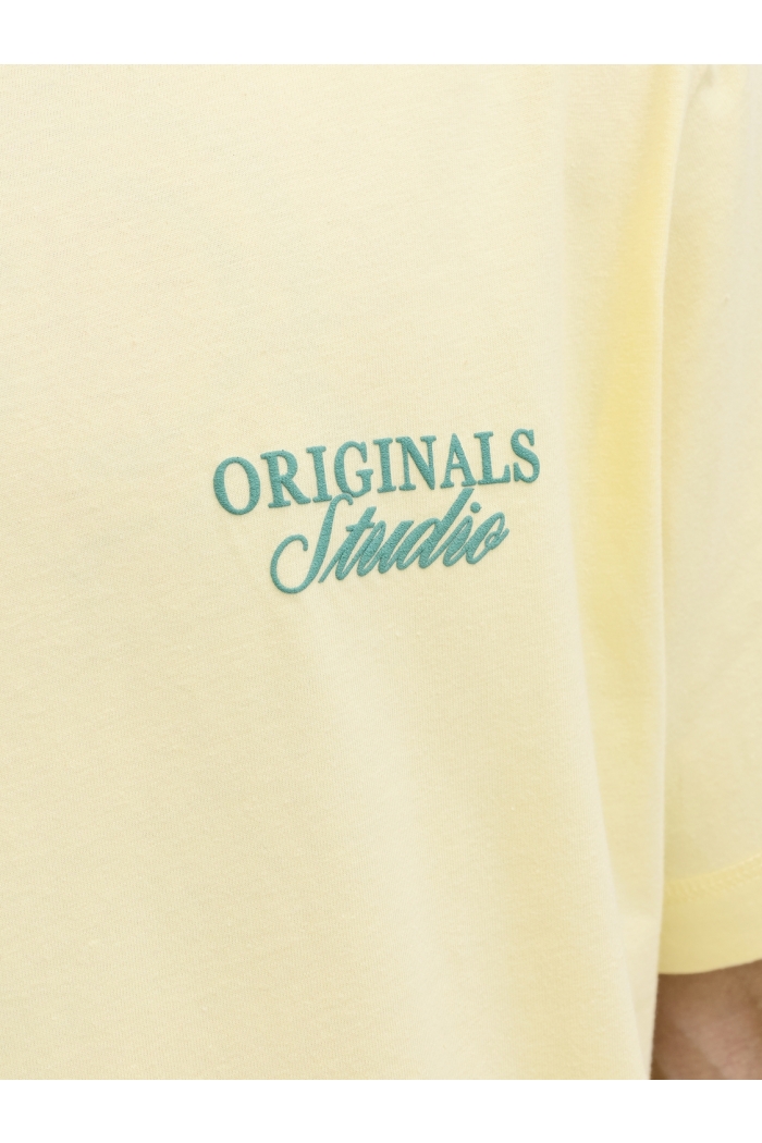 Jack and Jones JORNORREBRO TYPO TEE SS CREW NECK N: pastel yellow/ss 26