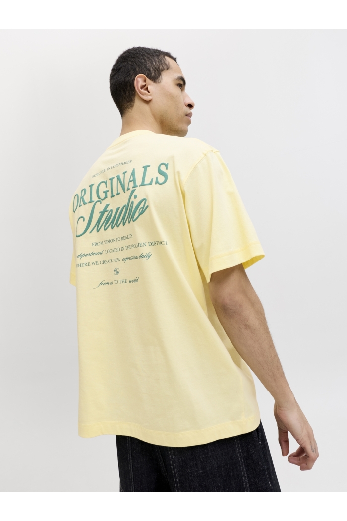 Jack and Jones JORNORREBRO TYPO TEE SS CREW NECK N: pastel yellow/ss 26
