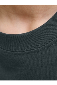 jack en jones boys JORNORREBRO EMB TEE SS CN NOOS JNR forest river