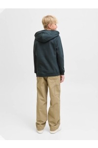 jack en jones boys JORNORREBRO EMB SWEAT HOOD NOOS JNR forest river