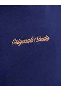 jack en jones boys JORNORREBRO EMB SWEAT HOOD NOOS JNR ocean cavern