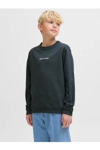 jack en jones boys JORNORREBRO EMB SWEAT CREW NOOS JNR forest river