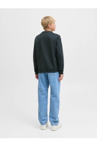 jack en jones boys JORNORREBRO EMB SWEAT CREW NOOS JNR forest river