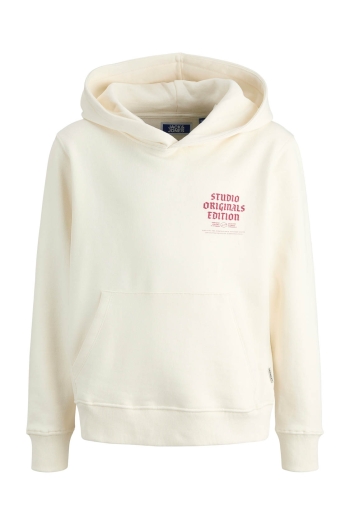 jack en jones boys JORMEADOWS SWEAT HOOD JNR