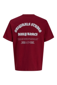 jack en jones boys JORMEADOWS TYPO TEE SS CREW NECK JN: tibetan red