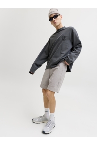 Jack and Jones JPSTGORDON BASE SWEAT SHORTS SRT SN light grey melange