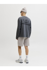 Jack and Jones JPSTGORDON BASE SWEAT SHORTS SRT SN light grey melange
