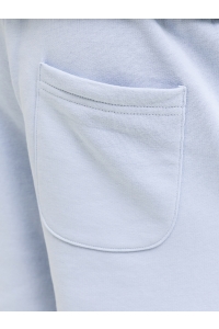 Jack and Jones boys JPSTKANE SOHO SWEAT SHORTS MID JNR celestial blue