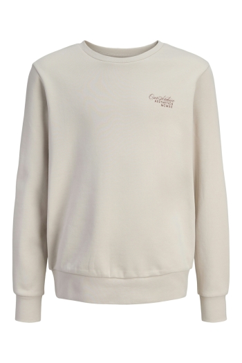 Jack and Jones boys JJROAR SWEAT CREW NECK JNR