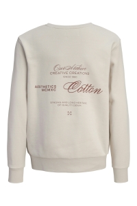 Jack and Jones boys JJROAR SWEAT CREW NECK JNR moonbeam