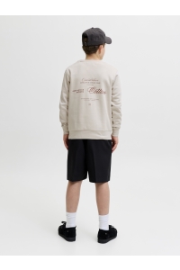 Jack and Jones boys JJROAR SWEAT CREW NECK JNR moonbeam