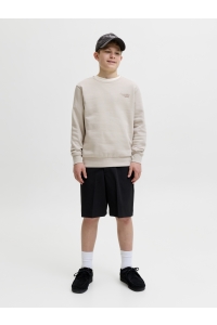 Jack and Jones boys JJROAR SWEAT CREW NECK JNR moonbeam