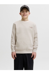Jack and Jones boys JJROAR SWEAT CREW NECK JNR moonbeam