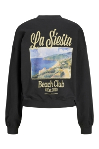 JACK&JONES ORIGINALS JXGIA LOOSE LS PRINT CREW SWT phantom/la siesta