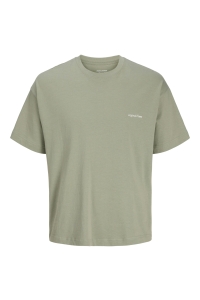 Jack and Jones JORMONTAUK BACK GRAPHIC TEE SSCN EA: seagrass