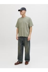 Jack and Jones JORMONTAUK BACK GRAPHIC TEE SSCN EA: seagrass