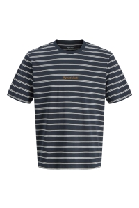 Jack and Jones JORNORREBRO STRIPE TEE SS CN LN sky captain