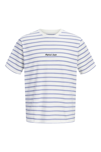 Jack and Jones  JORNORREBRO STRIPE TEE SS CN LN