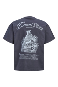 Jack and Jones JORMAINE BACK TEE SS CREW NECK SN odyssey gray