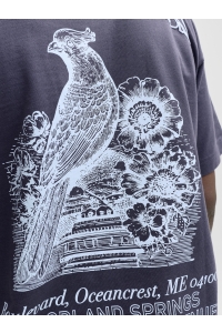 Jack and Jones JORMAINE BACK TEE SS CREW NECK SN odyssey gray