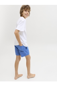 Jack and Jones boys JPSTMAUI SURF DOUBLE WB SWIMSHORT S: delft