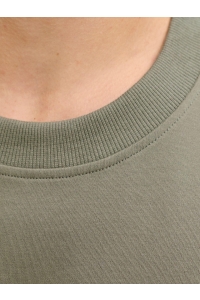 Jack and Jones JPRBLAOWEN SS BRANDING TEE SN sagebrush green