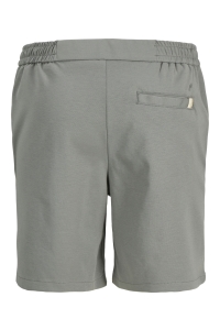 Jack and Jones JPSTACE NEO JOGGER SHORTS REG SN sedona sage