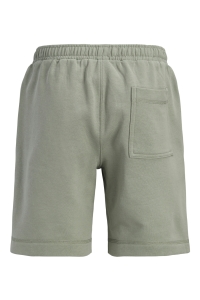 Jack and Jones boys JPSTKARL NORREBRO SWEAT SHORTS JNR seagrass